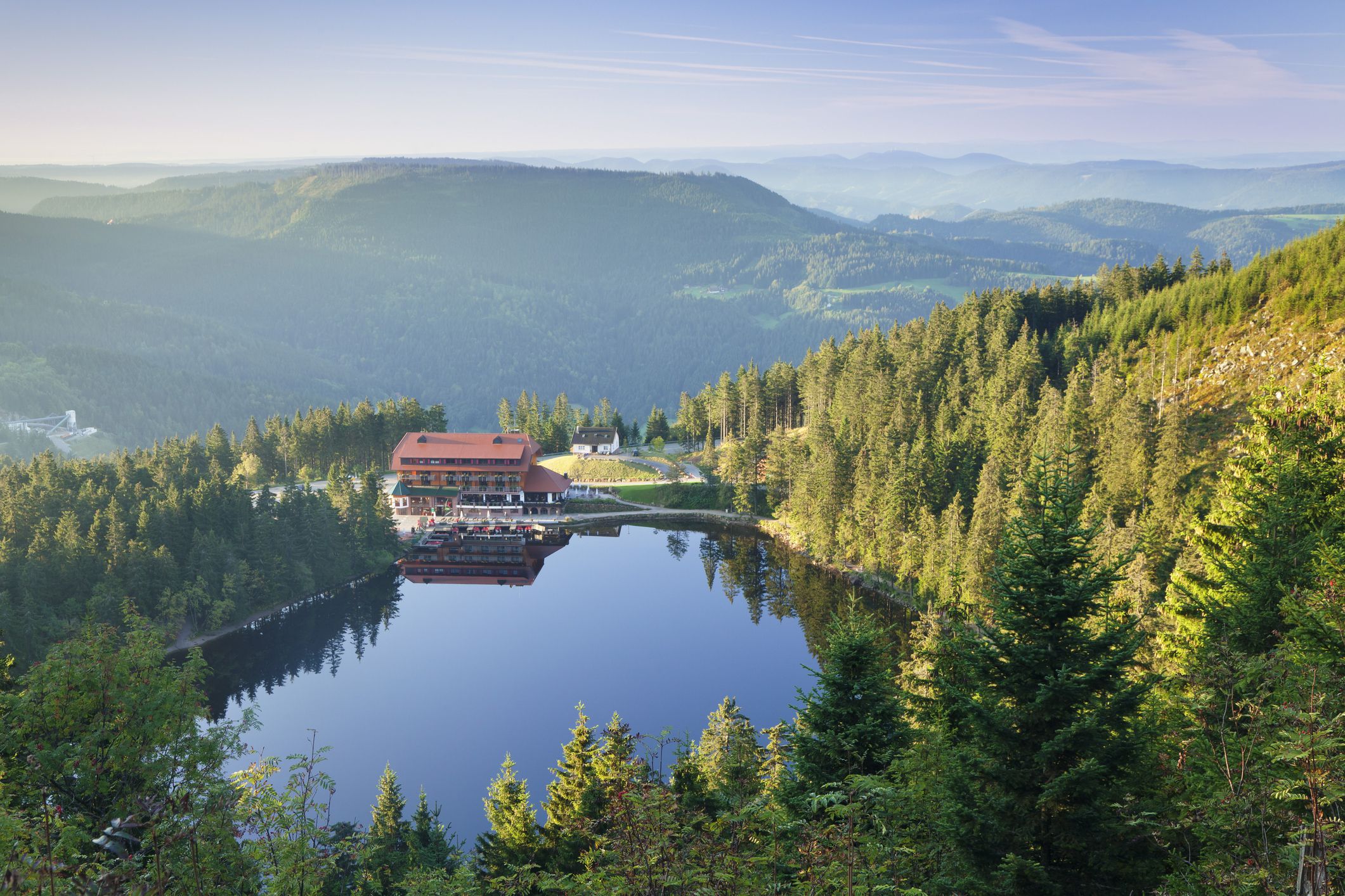 Black Forest Black Forest