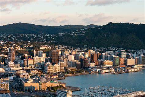 wellington wellington